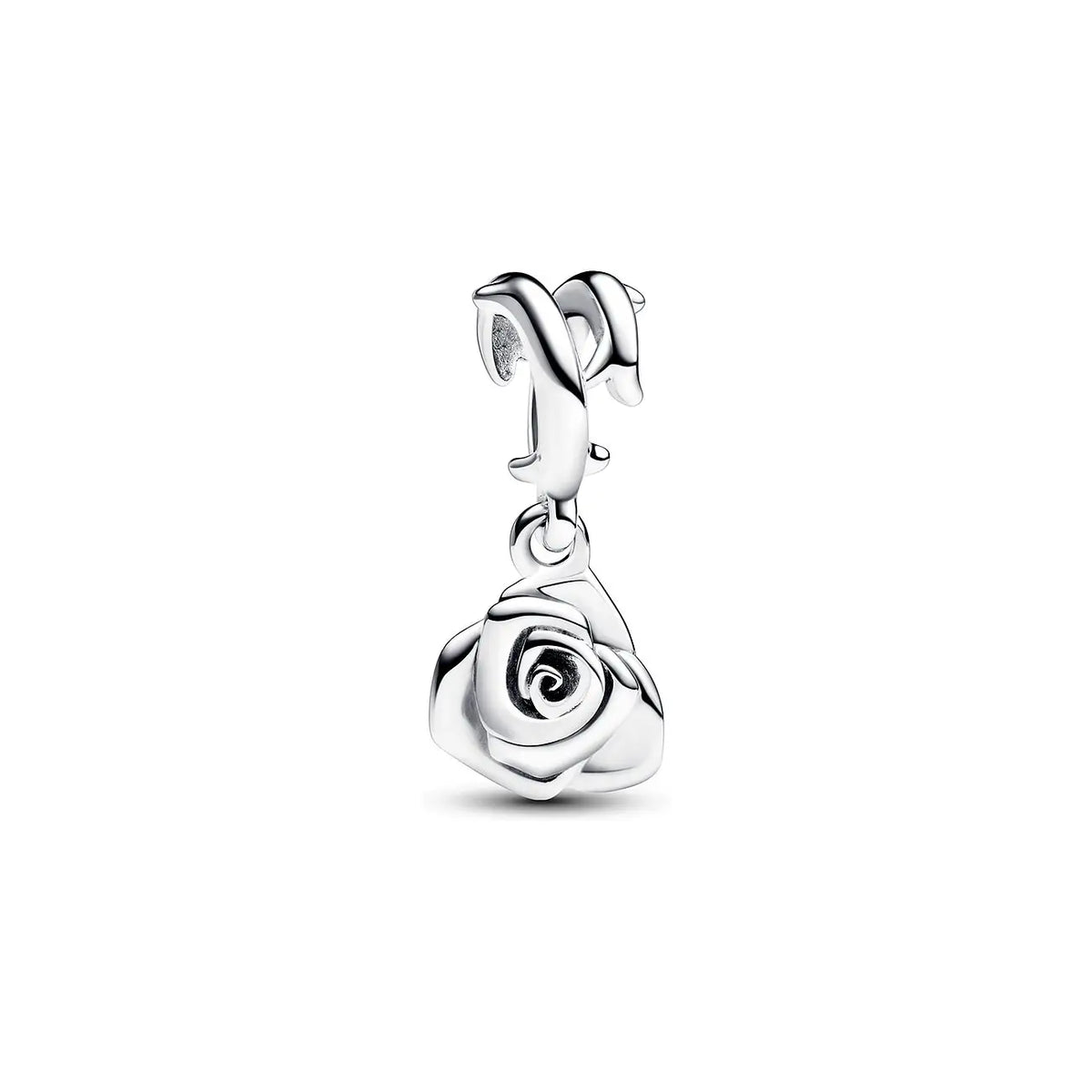 New Arrival Charms