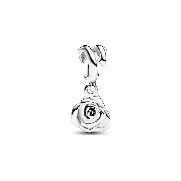 New Arrival Charms