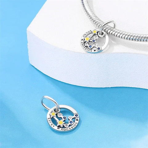 Lucky Aquarius Charm - Lucky Aquarius Charm