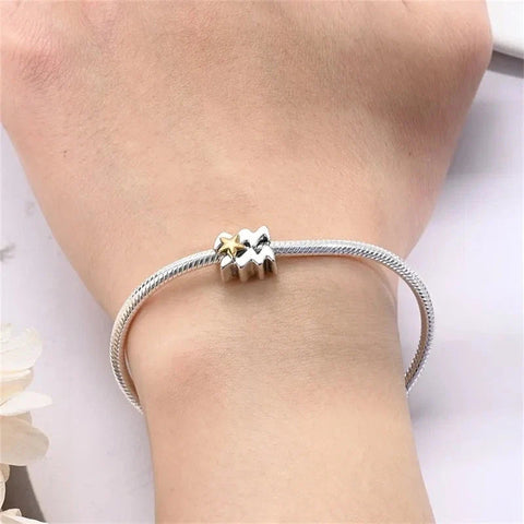 Aquarius Star Sign Charm - Aquarius Star Sign Charm