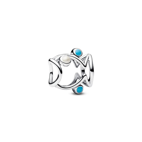 Silver And Turquoise Fish Charm