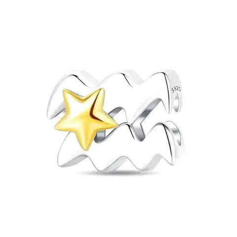 Aquarius Star Sign Charm - Aquarius Star Sign Charm