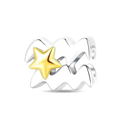 Aquarius Star Sign Charm
