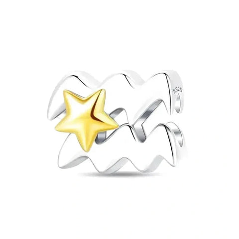 aquarius star sign charm