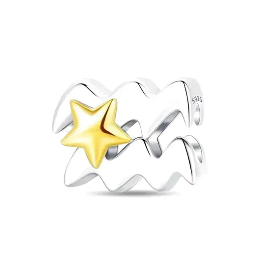 aquarius star sign charm