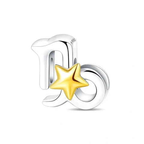 capricorn star sign charm