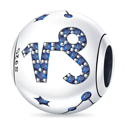 Capricorn Zodiac Charm