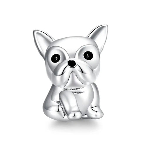 Chihuahua Charm