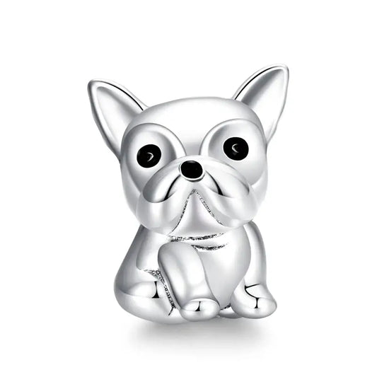 Chihuahua Charm
