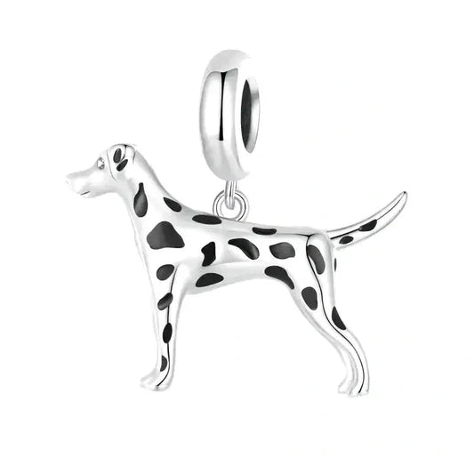 Dalmatian Charm