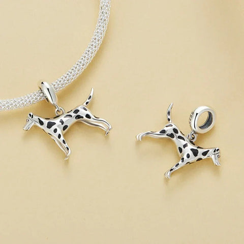 Dalmatian Charm - Dalmatian Charm