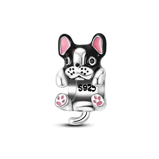 French black bulldog Charm