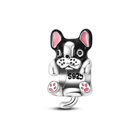 French black bulldog Charm - French bulldog Charm