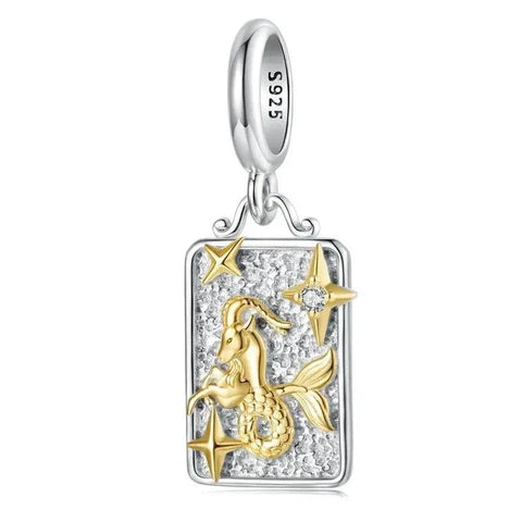 Gold & Silver Astrology Signs Zodiac Constellation Charms - Gold & Silver Astrology Signs Zodiac Constellation Charms
