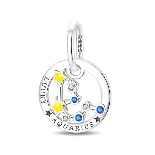 Lucky Aquarius Charm