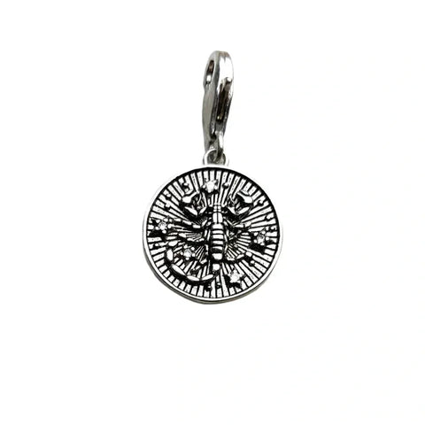 Silver scorpion pendant.
