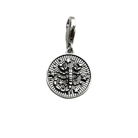 Silver scorpion pendant.