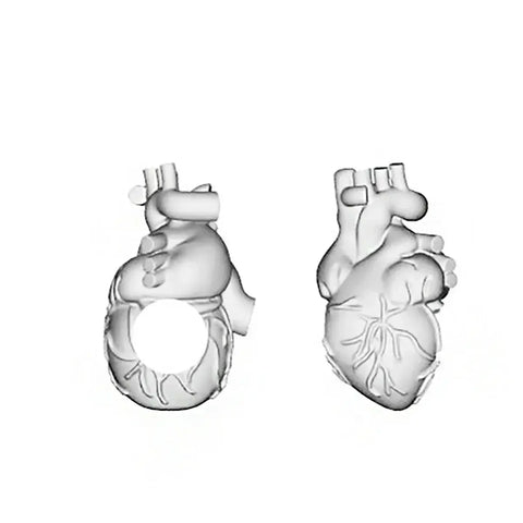 Anatomical Heart Bead - Anatomical Heart Bead - Realistic Medical Organ Charm