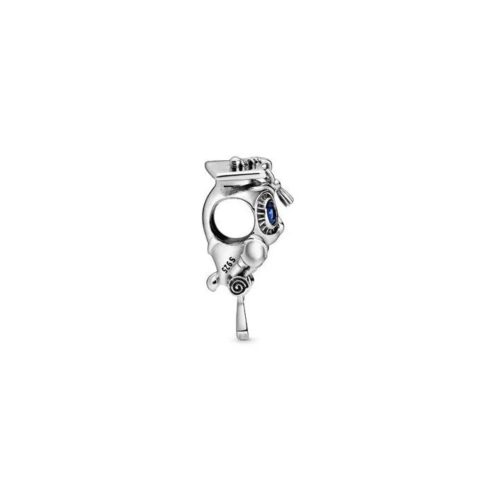 Wise Owl Graduation Charm - Owl graduation charm, symbolizing wisdom and achievement, ideal for celebrating milestones.